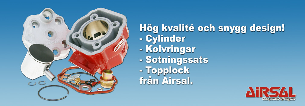 Airsal cylinder, kolvring, sotningssats och topplock.