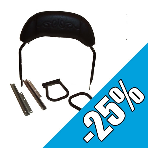 Ryggstöd (Arctic Cat)