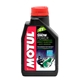 Motul Snowpower 2T