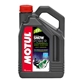 Motul Snowpower 2T