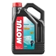 Motul Outboard Tech 2T