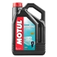 Motul Outboard 2T