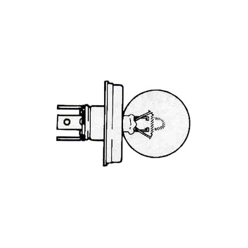 Glödlampa 12V 60/60W