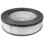 Pappersfilter 20-25 hk (Kawasaki)