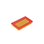 Luftfilter 147x89x25mm (MTD, Honda)