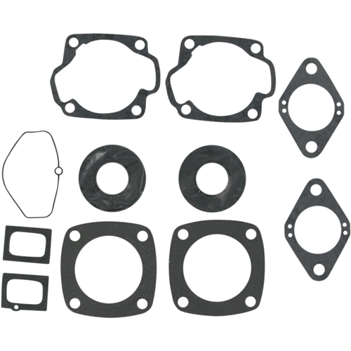 Packningssats (Rotax 343FC '77-79), reservdelar snöskoter, RINAB