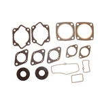 Packningssats (Rotax 440FC -75)