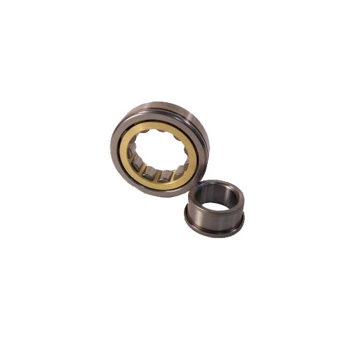 Vevaxellager PTO (Yamaha)