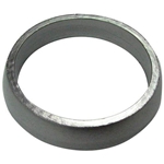 Avgasbussning, grenrör-avgasrör (Polaris)