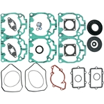 Packningssats (Rotax 600 HO E-TEC)