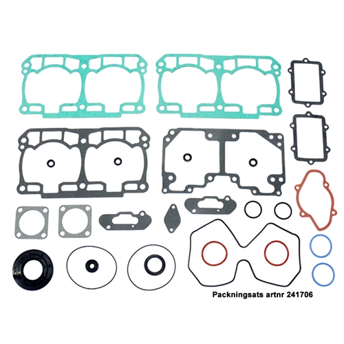 Packningssats (Rotax 800R E-TEC), reservdelar snöskoter, RINAB