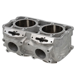 Cylinder (Polaris 800 monoblock)