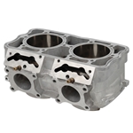 Cylinder (Polaris 800 monoblock 16-)