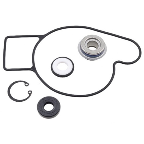 Vattenpumps repsats, Arctic Cat, tillbehör, snöskoter, moped, atv, cross, 10-721275, 87-721275, 125-90908, 1101234