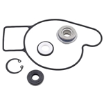 Vattenpumps repsats, Arctic Cat