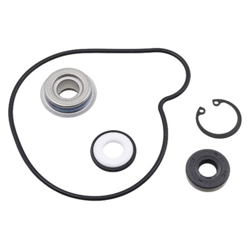 Vattenpumps repsats, Arctic Cat, tillbehör, snöskoter, moped, atv, cross, 10-721262, 87-721262, 125-90907, 1101233,