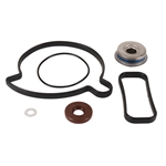 Vattenpumps repsats (Ski-Doo 1200)