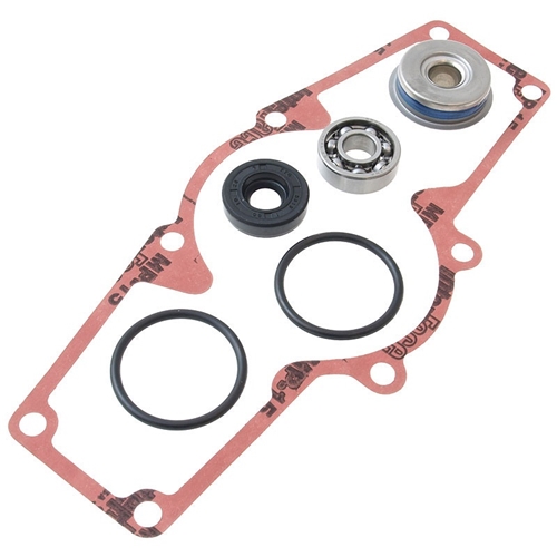 Vattenpumps repsats (Ski-Doo 1000), tillbehör, snöskoter, moped, atv, cross, 10-721289, 125-90966, 1101235