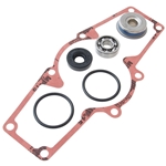 Vattenpumps repsats (Ski-Doo 1000)