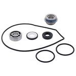 Vattenpumps repsats (Yamaha Phazer/VT 500)