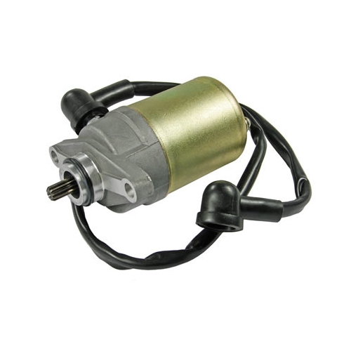 Startmotor (139QMB/139QMA motor), reservdelar och tillbehör till moped, RINAB