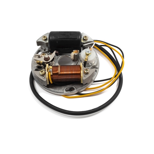 Svänghjulsmagnet NTS 6V-19W/2 kablar (Puch Maxi), reservdelar moped, RINAB