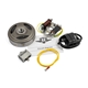 Svänghjulsmagnet 6V/33W Elektronisk (ILO/HVA mfl)