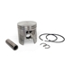 Cylindersats 47mm Malossi (TS50X)
