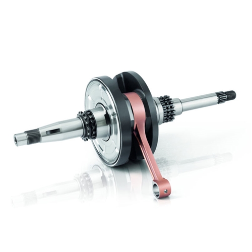 Vevparti Racing (Honda Wallaroo/Peugeot Fox), RINAB