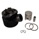 Cylindersats 41mm/60cc/Kyrkport (Sachs) DMP