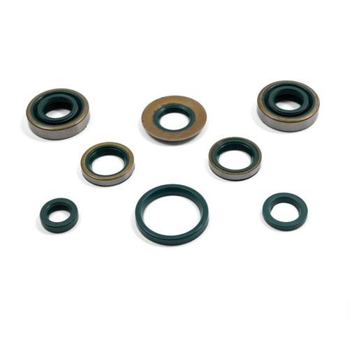 Packboxsats motor komplett (Sachs 3-vxl trampstart), RINAB