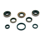 Packboxsats motor komplett (Sachs 3-vxl trampstart) 8 delar/sats