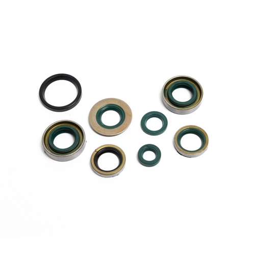 Packboxsats motor 8 delar/sats (Sachs 3/4vxl trampstart), RINAB