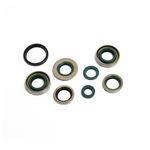 Packboxsats motor 8 delar/sats (Sachs 3/4vxl trampstart)