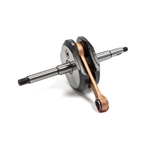 Vevparti (Sachs 504) NTS