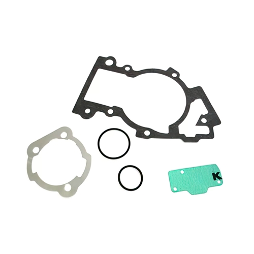 Packningssats Polini Evolution (Piaggio), RINAB