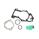 Packningssats Polini Evolution (Piaggio)