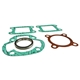 Sotningssats 43mm/60cc inkl. reedpackningar (Yamaha DT50)
