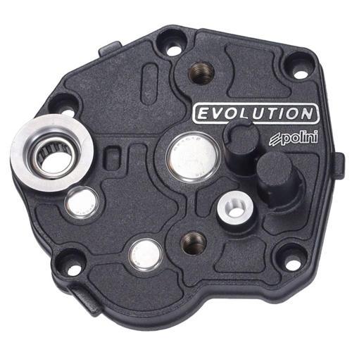 Växellåda, Baknav, POLINI "Evolution" (Piaggio Ciao), RINAB