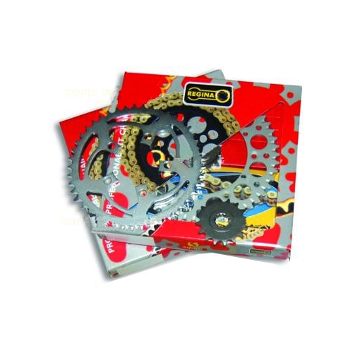 Kedjekit Regina 12T/48T 420x130 länk (Rieju)