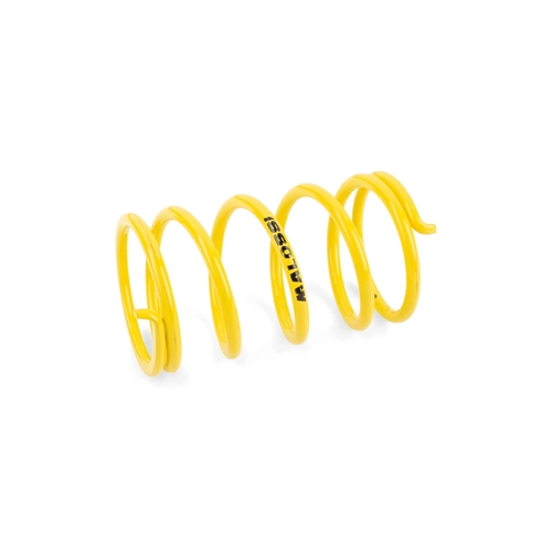 Variatorkit (Piaggio Bravo/Ciao/Si) MALOSSI, RINAB