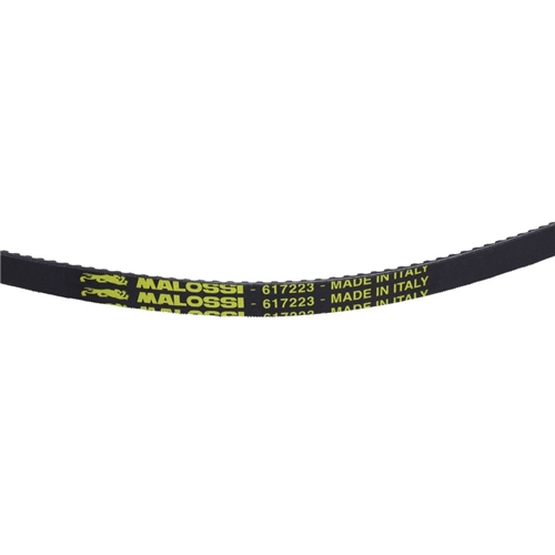 Drivrem 1060mm (Piaggio Bravo) Malossi, RINAB
