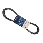 Drivrem DAYCO (Aixam, Casalini) XTX1015